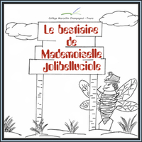 Atelier-fabrique de mots et d'images - Collège Marcellin Champagnat - Feurs