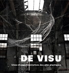 De Visu. (Collectif )